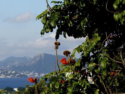 کاسا امارلو