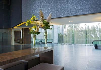 د وستین سانتا ف مکسیکو سیتی