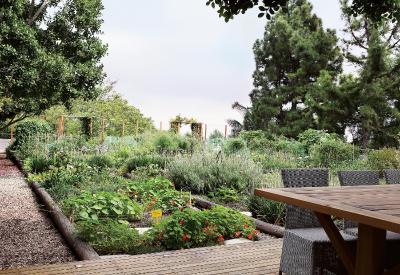 ساکسن هتل ویلاز اند اسپا