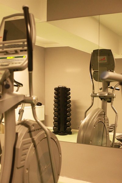 گولدن تولیپ انا دم