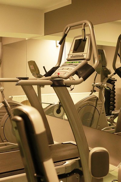 گولدن تولیپ انا دم