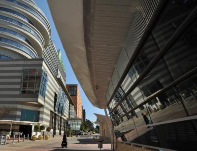 هلید این جهانسبورگ-رسبانک