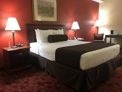 بست وسترن فرت لاودردال آیرپرت/کرویس پرت