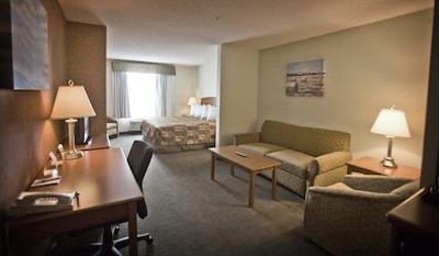 سرویس پلاس اینز اند سویتز