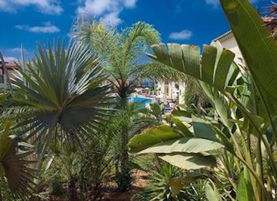 اتلانتیکا ترپیکال بلو