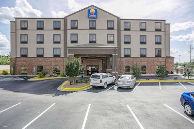 کمفرت این اند سویتز نرد