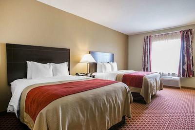 کمفرت این اند سویتز نرد