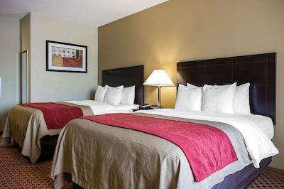 کمفرت این اند سویتز نرد