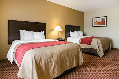 کمفرت این اند سویتز نرد