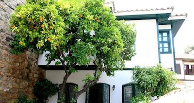 ویستا بوتیک هتل