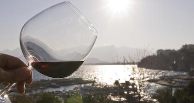 ویستا بوتیک هتل