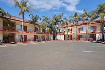 اکنو لج گریفید متر این