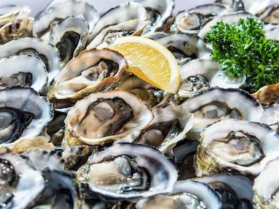 نوتل سورفرز پارادیس