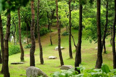 هیل هوس هتل