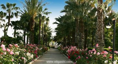 آدورا گلف ریزورت