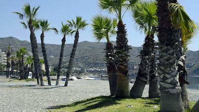 هستال ولیلا