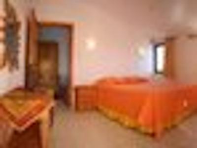 کاهوسی آلیبی لوکسوری کنسپت