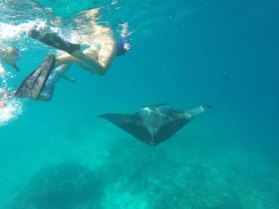 واکاروفالهی آیلند ریزورت