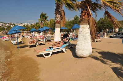 سیستا بیچ اپارتمنتز