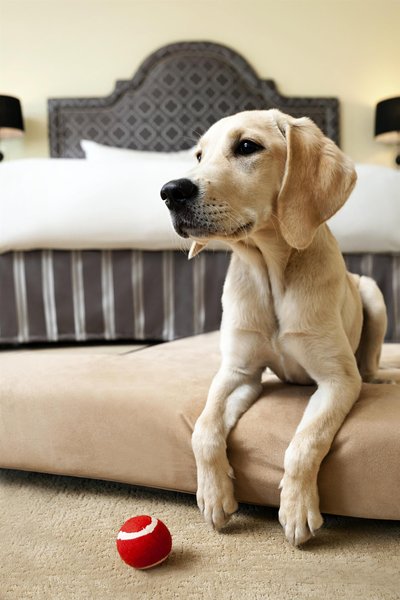 فیرمنت هتل وانکوور