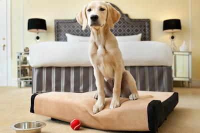 فیرمنت هتل وانکوور