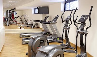 ملی سیرا نوادا