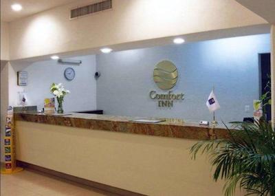 کمفرت این پورتو والارتا