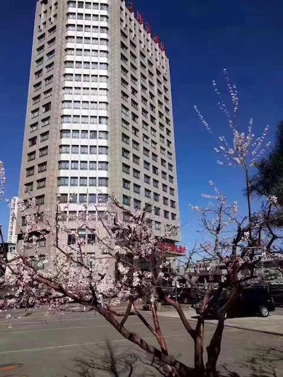 سان فلاور هتل