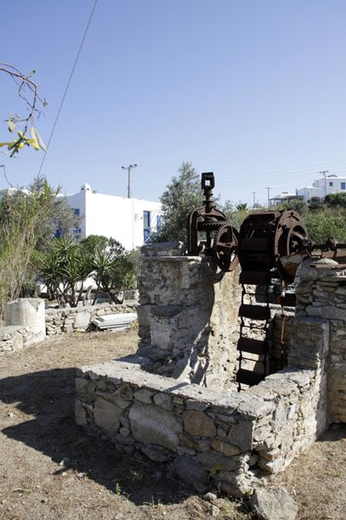 وینولاز گاردن