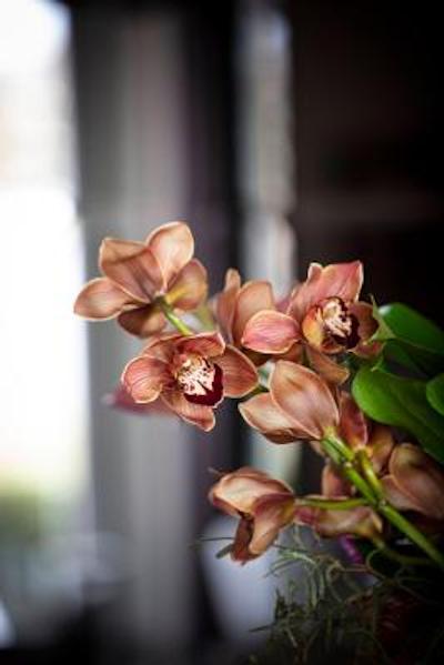 کویین ویکتریا هتل