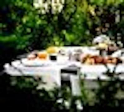 آلما بارسلنا