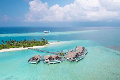 نیاما پرایوت ایسلندز مالدیو