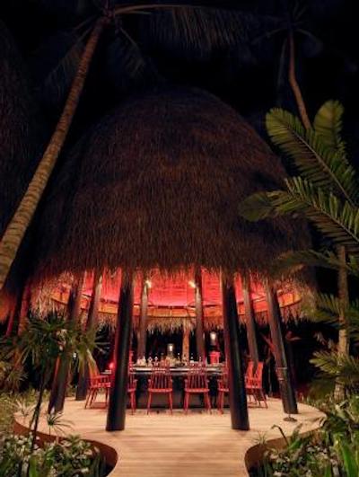 نیاما پرایوت ایسلندز مالدیو