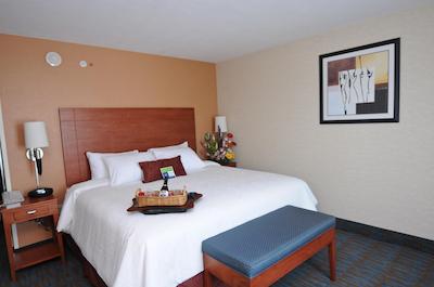 هامپتون این بای هیلتون کرتارو تکنلجیکو