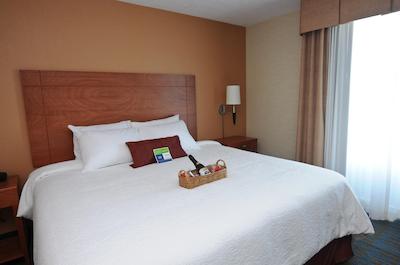 هامپتون این بای هیلتون کرتارو تکنلجیکو