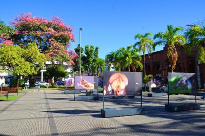 سنسز هتل بوتیک