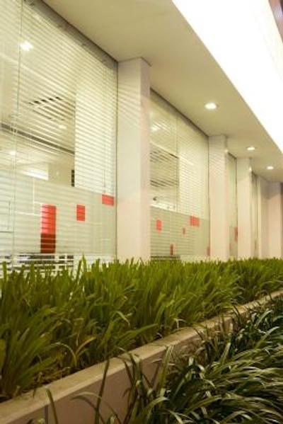 اماریز پانگلیما پلیم