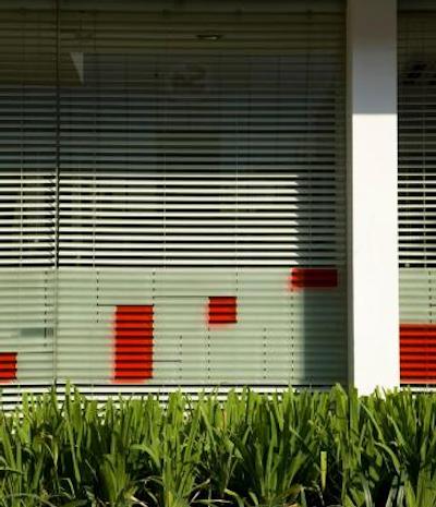 اماریز پانگلیما پلیم