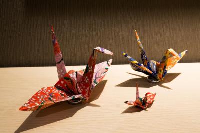 هتل ساردنیکس ونو