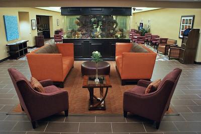 هموود سویتز فرت میرز آیرپرت/فگکو