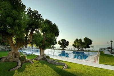 پارادر د نرجا