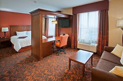 هامپتون این بای هیلتون ادمنتون اسود