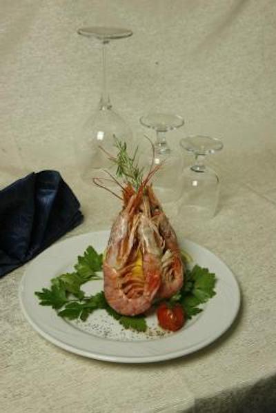 ویلیج مارینا