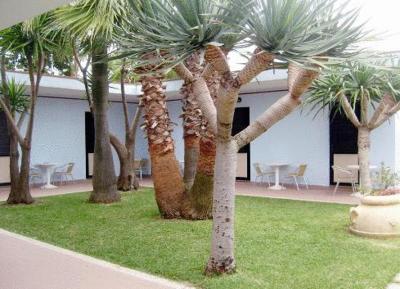 ویلیج مارینا