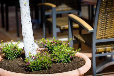 ال هتل منارک ال ردئو