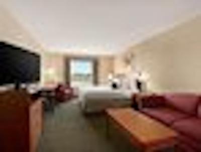 دز این ادمنتون اسود