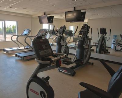 کاسینو نو برونسویک