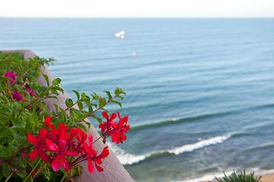 پرینسسا پلا