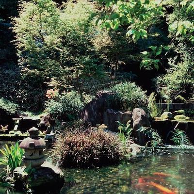 اریما اُنسن کینزان