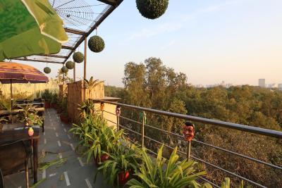 استار پلازا